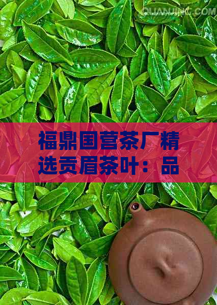 福鼎国营茶厂精选贡眉茶叶：品质、产地、制作工艺及品尝方法全面解析