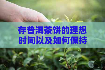 存普洱茶饼的理想时间以及如何保持其风味