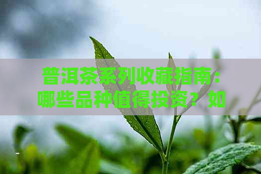 普洱茶系列收藏指南：哪些品种值得投资？如何鉴别和保存？