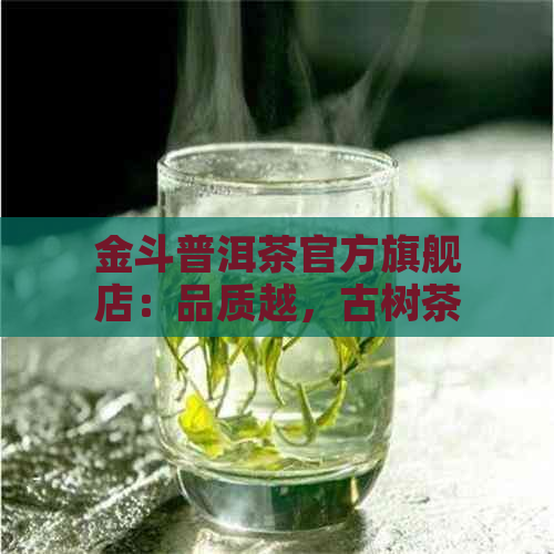 金斗普洱茶官方旗舰店：品质越，古树茶专家