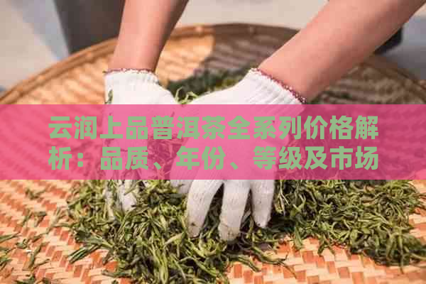 云润上品普洱茶全系列价格解析：品质、年份、等级及市场趋势一应俱全