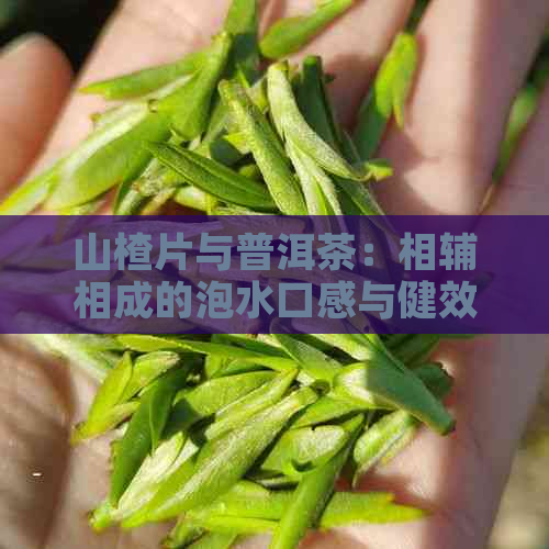 山楂片与普洱茶：相辅相成的泡水口感与健效益