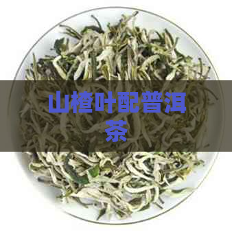 山楂叶配普洱茶