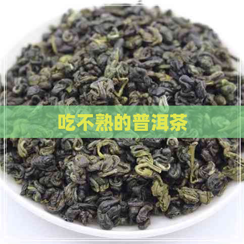 吃不熟的普洱茶