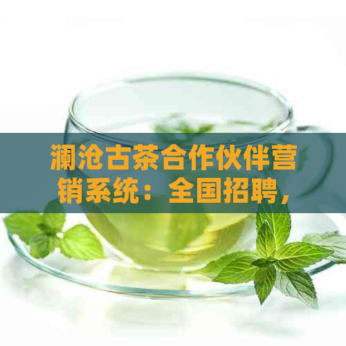 澜沧古茶合作伙伴营销系统：全国招聘，高效管理