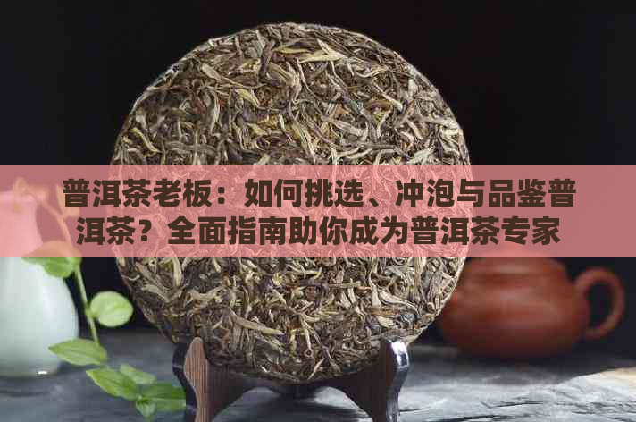 普洱茶老板：如何挑选、冲泡与品鉴普洱茶？全面指南助你成为普洱茶专家