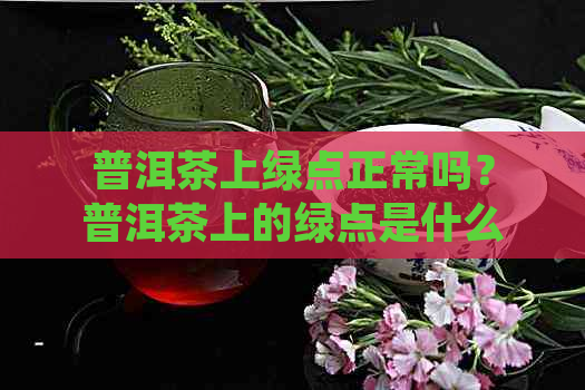 普洱茶上绿点正常吗？普洱茶上的绿点是什么原因？能喝吗？