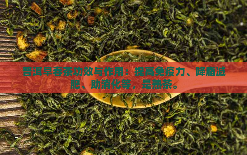 普洱早春茶功效与作用：提高免疫力、降脂减肥、助消化等，是熟茶。