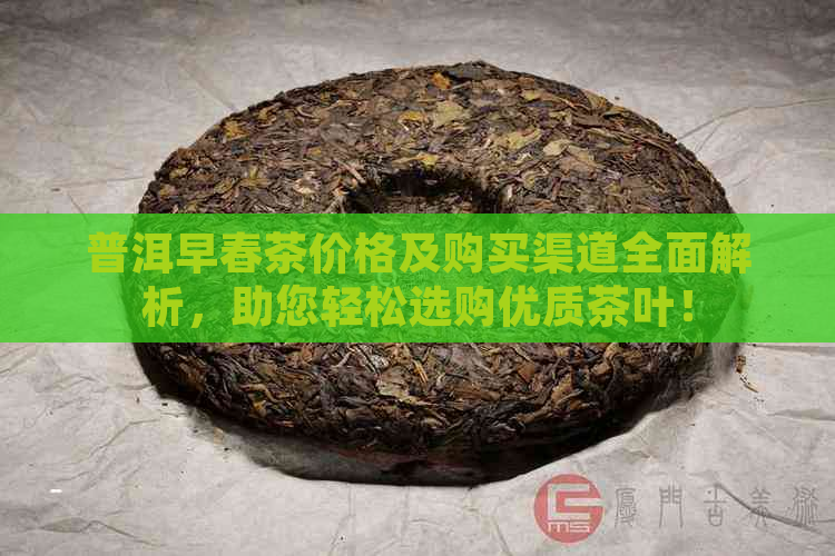 普洱早春茶价格及购买渠道全面解析，助您轻松选购优质茶叶！