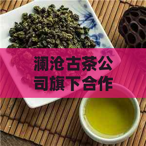 澜沧古茶公司旗下合作伙伴名单：探索普洱茶行业的成功故事