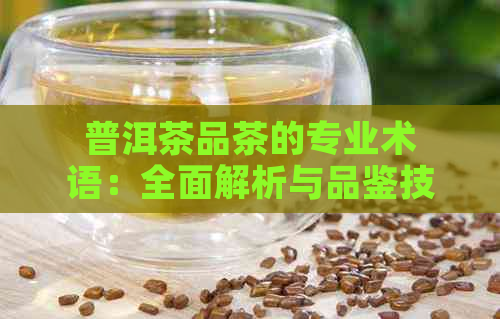 普洱茶品茶的专业术语：全面解析与品鉴技巧