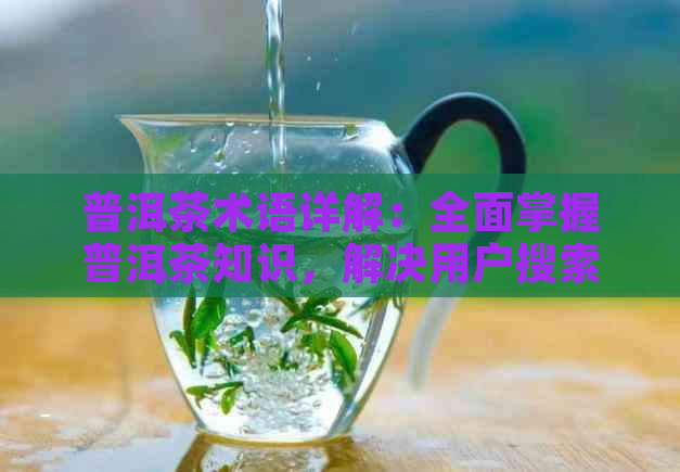 普洱茶术语详解：全面掌握普洱茶知识，解决用户搜索需求