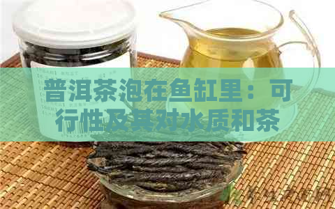 普洱茶泡在鱼缸里：可行性及其对水质和茶叶品质的影响