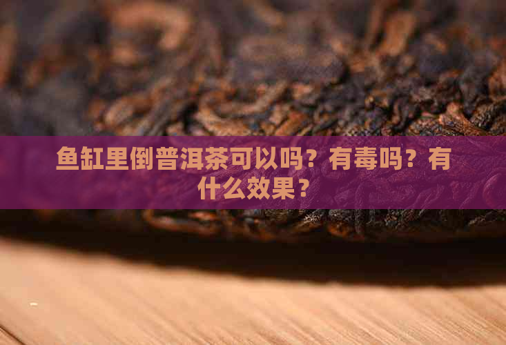 鱼缸里倒普洱茶可以吗？有吗？有什么效果？