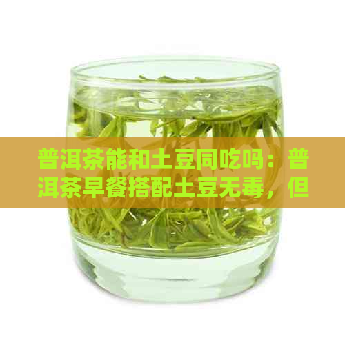 普洱茶能和土豆同吃吗：普洱茶早餐搭配土豆无，但是否可同食？