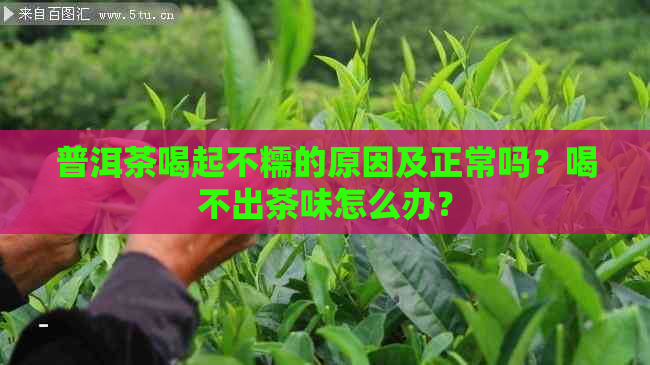 普洱茶喝起不糯的原因及正常吗？喝不出茶味怎么办？