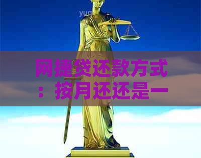 网捷贷还款方式：按月还还是一年后一次性还本带息？