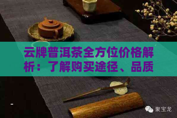 云牌普洱茶全方位价格解析：了解购买途径、品质与市场趋势