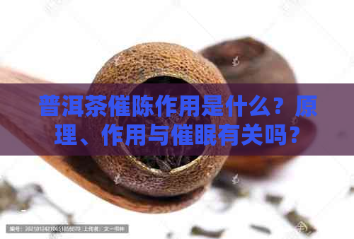 普洱茶催陈作用是什么？原理、作用与催眠有关吗？