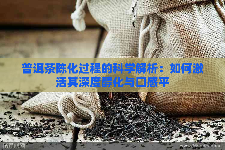 普洱茶陈化过程的科学解析：如何激活其深度醇化与口感平