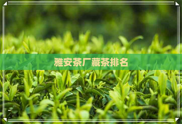 雅安茶厂藏茶排名