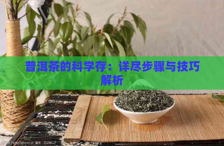 普洱茶的科学存：详尽步骤与技巧解析