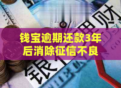 钱宝逾期还款3年后消除不良记录的完整流程及注意事项，用户必看