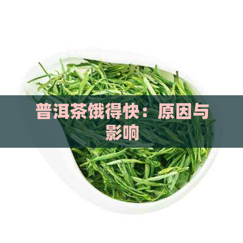 普洱茶饿得快：原因与影响