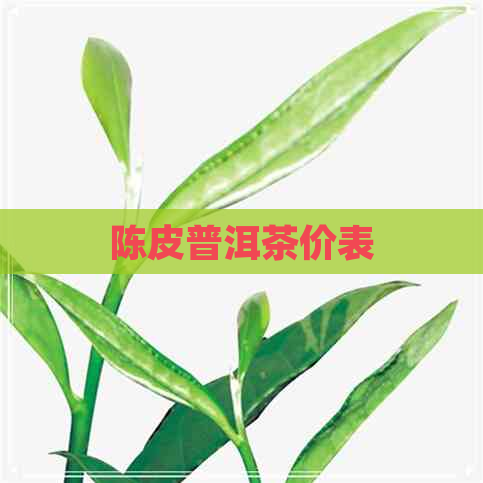 陈皮普洱茶价表