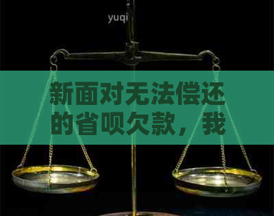 新面对无法偿还的省呗欠款，我们可以寻求协商解决方案吗？