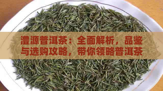 澧源普洱茶：全面解析，品鉴与选购攻略，带你领略普洱茶的魅力与奥秘