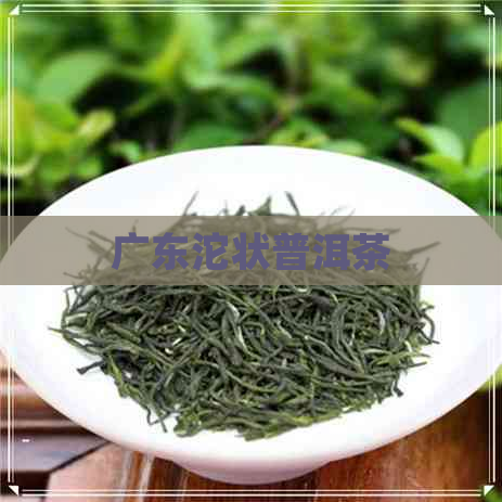 广东沱状普洱茶