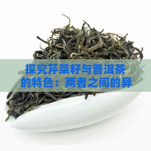 探究芹菜籽与普洱茶的特色：两者之间的异同对比