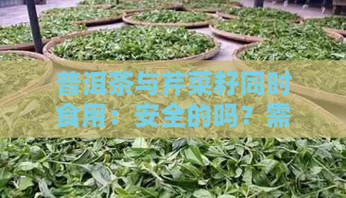 普洱茶与芹菜籽同时食用：安全的吗？需要注意哪些事项？