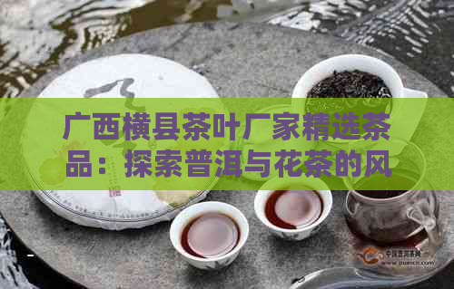 广西横县茶叶厂家精选茶品：探索普洱与花茶的风味之旅