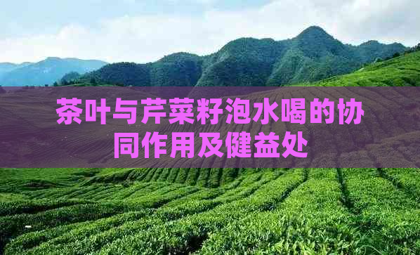 茶叶与芹菜籽泡水喝的协同作用及健益处