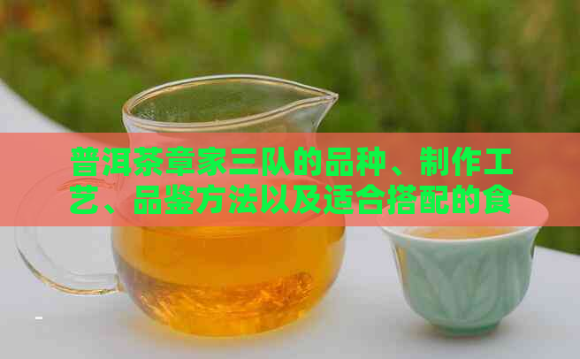 普洱茶章家三队的品种、制作工艺、品鉴方法以及适合搭配的食物全方位解析