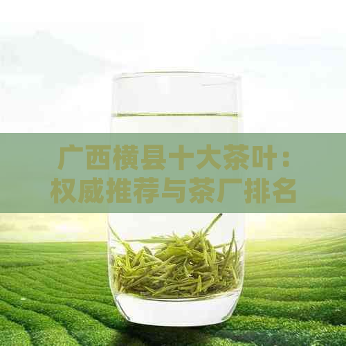 广西横县十大茶叶：权威推荐与茶厂排名