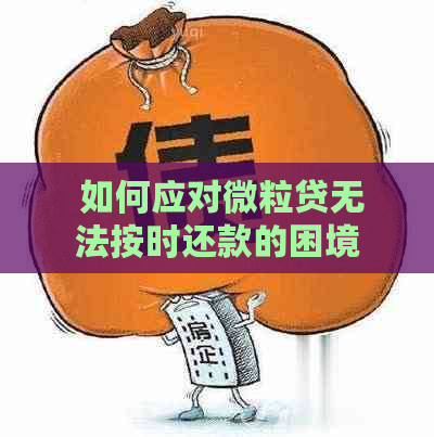  如何应对微粒贷无法按时还款的困境？这里有解决策略！