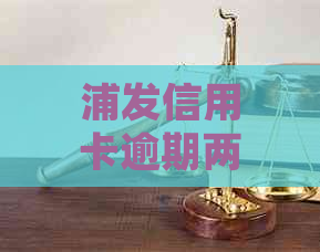 浦发信用卡逾期两天是否产生记录，如何查询和处理？