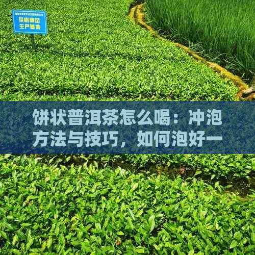 饼状普洱茶怎么喝：冲泡方法与技巧，如何泡好一杯饼状普洱茶