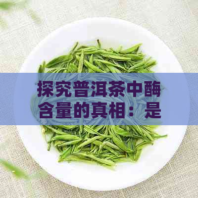 探究普洱茶中酶含量的真相：是否影响其健效益和品质？