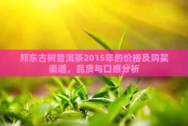 邦东古树普洱茶2015年的价格及购买渠道，品质与口感分析