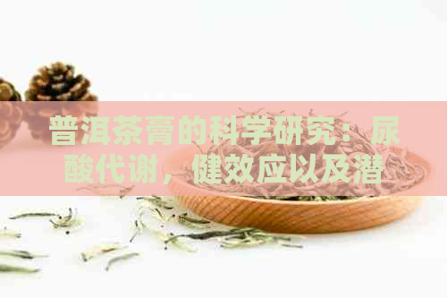 普洱茶膏的科学研究：尿酸代谢，健效应以及潜在应用