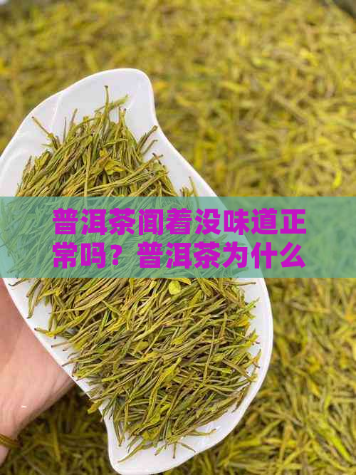 普洱茶闻着没味道正常吗？普洱茶为什么闻起来没有味道？