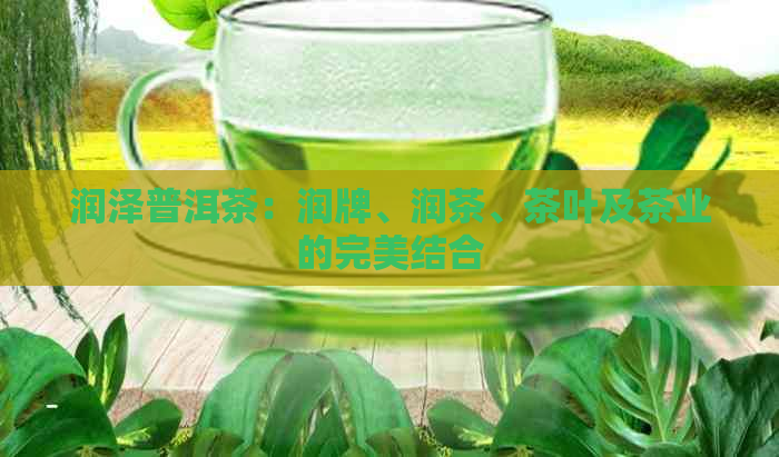 润泽普洱茶：润牌、润茶、茶叶及茶业的完美结合