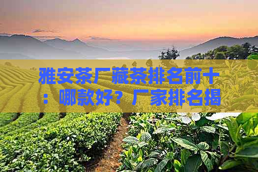 雅安茶厂藏茶排名前十：哪款好？厂家排名揭晓！