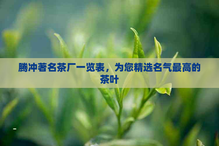 腾冲著名茶厂一览表，为您精选名气更高的茶叶