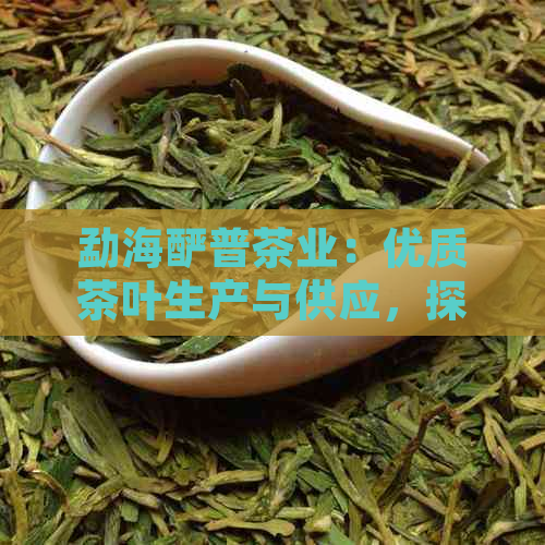 勐海酽普茶业：优质茶叶生产与供应，探索正宗普洱茶文化的魅力