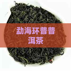 勐海环普普洱茶